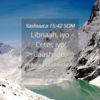Picture 04 - Yashuuca 15:42 SOM - Libnaah, iyo Ceter, iyo - Bible Verse Picture