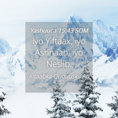 Picture 04 - Yashuuca 15:43 SOM - iyo Yiftaax, iyo Ashnaah, iyo - Bible Verse Picture