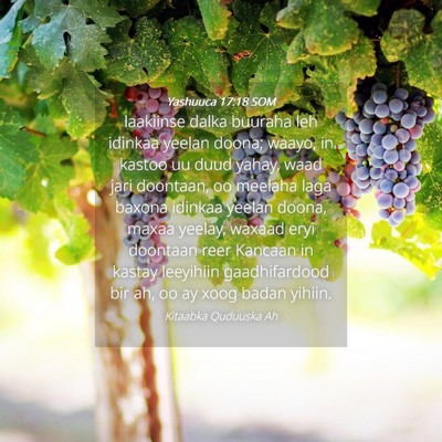 Picture 04 - Yashuuca 17:18 SOM - laakiinse dalka buuraha leh idinkaa yeelan doona; - Bible Verse Picture