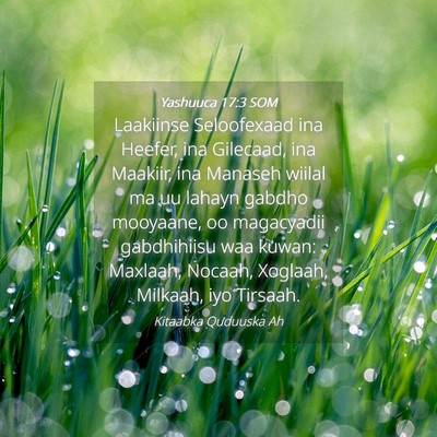 Picture 04 - Yashuuca 17:3 SOM - Laakiinse Seloofexaad ina Heefer, ina Gilecaad, - Bible Verse Picture