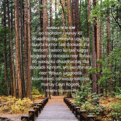 Picture 04 - Yashuuca 18:16 SOM - oo soohdintu waxay ku dhaadhacday meesha ugu fog - Bible Verse Picture