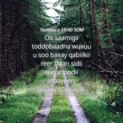 Picture 04 - Yashuuca 19:40 SOM - Oo saamigii toddobaadna wuxuu u soo baxay - Bible Verse Picture