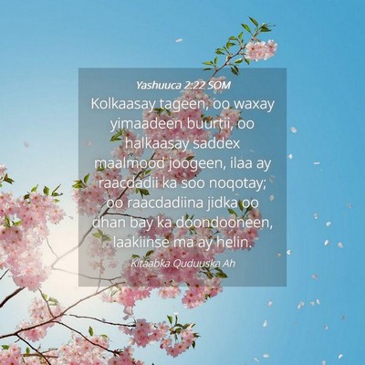 Picture 04 - Yashuuca 2:22 SOM - Kolkaasay tageen, oo waxay yimaadeen buurtii, oo - Bible Verse Picture