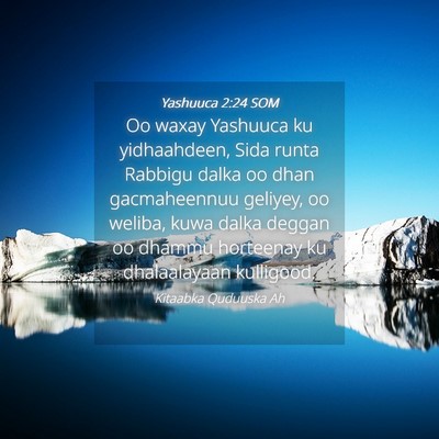 Picture 04 - Yashuuca 2:24 SOM - Oo waxay Yashuuca ku yidhaahdeen, Sida runta - Bible Verse Picture
