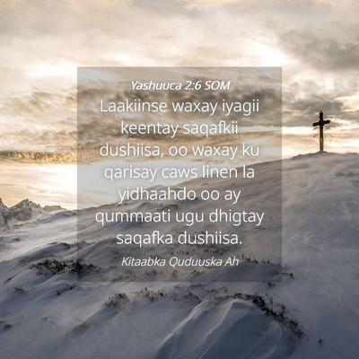 Picture 04 - Yashuuca 2:6 SOM - Laakiinse waxay iyagii keentay saqafkii dushiisa, - Bible Verse Picture