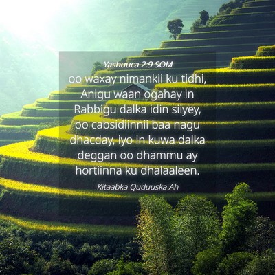 Picture 04 - Yashuuca 2:9 SOM - oo waxay nimankii ku tidhi, Anigu waan ogahay in - Bible Verse Picture