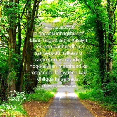 Picture 04 - Yashuuca 20:3 SOM - in gacankudhiiglihii qof dilaa, isagoo aan u - Bible Verse Picture