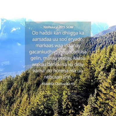 Picture 04 - Yashuuca 20:5 SOM - Oo haddii kan dhiigga ka aarsadaa uu soo eryado, - Bible Verse Picture