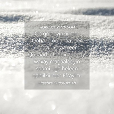 Picture 04 - Yashuuca 21:20 SOM - Oo qolooyinkii reer Qohaad oo ahaa reer Laawi, - Bible Verse Picture