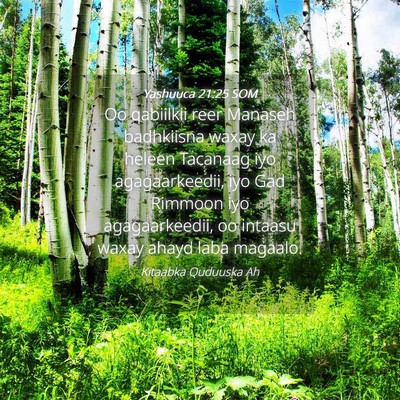 Picture 04 - Yashuuca 21:25 SOM - Oo qabiilkii reer Manaseh badhkiisna waxay ka - Bible Verse Picture