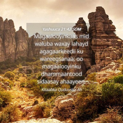 Picture 04 - Yashuuca 21:42 SOM - Magaalooyinkaas mid waluba waxay lahayd - Bible Verse Picture