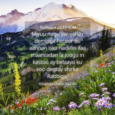 Picture 04 - Yashuuca 22:17 SOM - Miyuu nagu yar yahay dembigii Fecoor oo aannan - Bible Verse Picture
