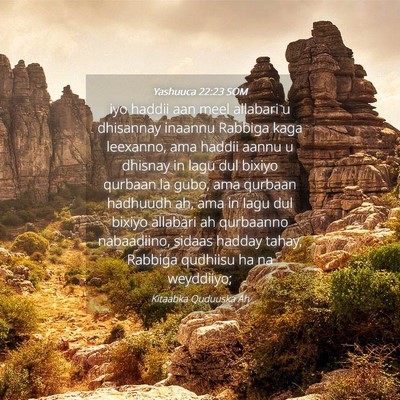 Picture 04 - Yashuuca 22:23 SOM - iyo haddii aan meel allabari u dhisannay inaannu - Bible Verse Picture
