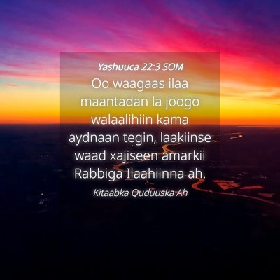 Picture 04 - Yashuuca 22:3 SOM - Oo waagaas ilaa maantadan la joogo walaalihiin - Bible Verse Picture