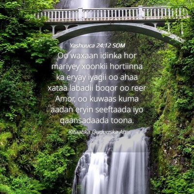Picture 04 - Yashuuca 24:12 SOM - Oo waxaan idinka hor mariyey xoonkii hortiinna ka - Bible Verse Picture