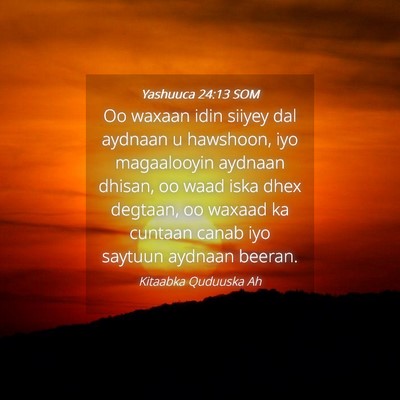 Picture 04 - Yashuuca 24:13 SOM - Oo waxaan idin siiyey dal aydnaan u hawshoon, iyo - Bible Verse Picture