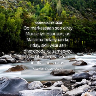 Picture 04 - Yashuuca 24:5 SOM - Oo markaasaan soo diray Muuse iyo Haaruun, oo - Bible Verse Picture