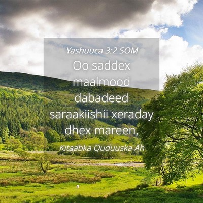 Picture 04 - Yashuuca 3:2 SOM - Oo saddex maalmood dabadeed saraakiishii xeraday - Bible Verse Picture