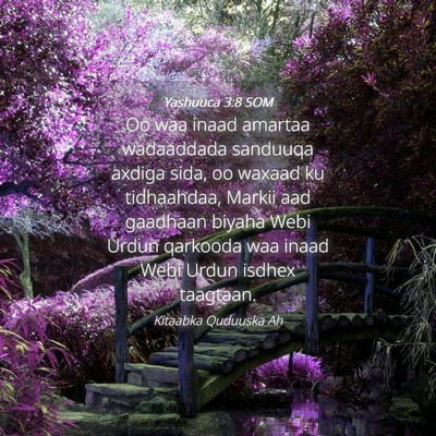 Picture 04 - Yashuuca 3:8 SOM - Oo waa inaad amartaa wadaaddada sanduuqa axdiga - Bible Verse Picture