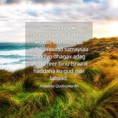 Picture 04 - Yashuuca 5:2 SOM - Oo markaasuu Rabbigu wuxuu Yashuuca ku yidhi, - Bible Verse Picture