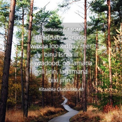 Picture 04 - Yashuuca 6:1 SOM - (Haddaba Yerixoo waxaa loo xidhay reer binu - Bible Verse Picture