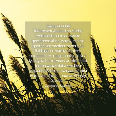 Picture 04 - Yashuuca 6:13 SOM - Toddobadii wadaad oo sidday toddobadii buun oo - Bible Verse Picture