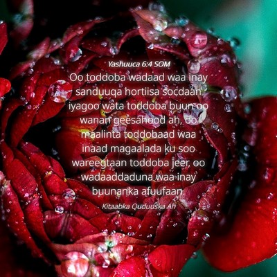 Picture 04 - Yashuuca 6:4 SOM - Oo toddoba wadaad waa inay sanduuqa hortiisa - Bible Verse Picture