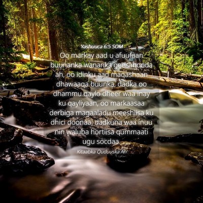 Picture 04 - Yashuuca 6:5 SOM - Oo markay aad u afuufaan buunanka wananka - Bible Verse Picture