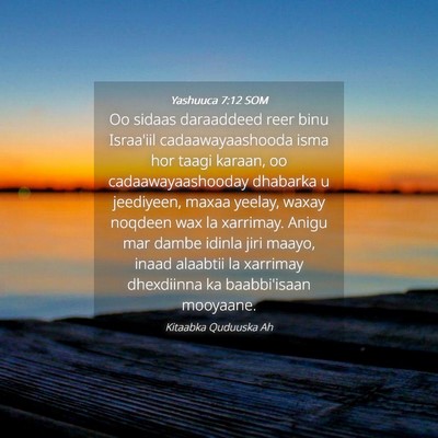 Picture 04 - Yashuuca 7:12 SOM - Oo sidaas daraaddeed reer binu Israa'iil - Bible Verse Picture