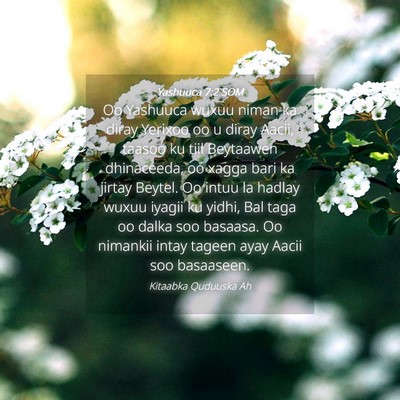 Picture 04 - Yashuuca 7:2 SOM - Oo Yashuuca wuxuu niman ka diray Yerixoo oo u - Bible Verse Picture
