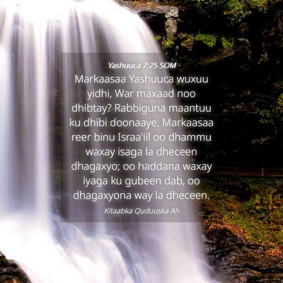 Picture 04 - Yashuuca 7:25 SOM - Markaasaa Yashuuca wuxuu yidhi, War maxaad noo - Bible Verse Picture