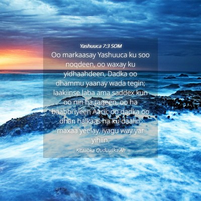 Picture 04 - Yashuuca 7:3 SOM - Oo markaasay Yashuuca ku soo noqdeen, oo waxay ku - Bible Verse Picture