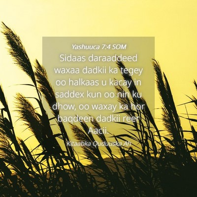Picture 04 - Yashuuca 7:4 SOM - Sidaas daraaddeed waxaa dadkii ka tegey oo - Bible Verse Picture