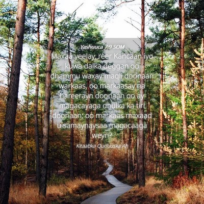 Picture 04 - Yashuuca 7:9 SOM - Maxaa yeelay, reer Kancaan iyo kuwa dalka deggan - Bible Verse Picture
