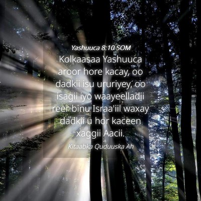Picture 04 - Yashuuca 8:10 SOM - Kolkaasaa Yashuuca aroor hore kacay, oo dadkii - Bible Verse Picture
