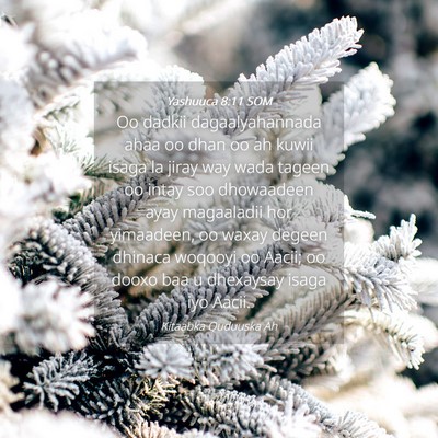 Picture 04 - Yashuuca 8:11 SOM - Oo dadkii dagaalyahannada ahaa oo dhan oo ah - Bible Verse Picture