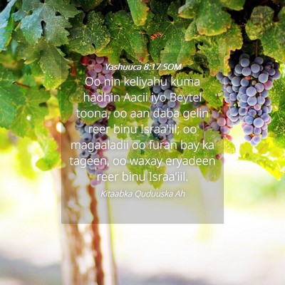 Picture 04 - Yashuuca 8:17 SOM - Oo nin keliyahu kuma hadhin Aacii iyo Beytel - Bible Verse Picture