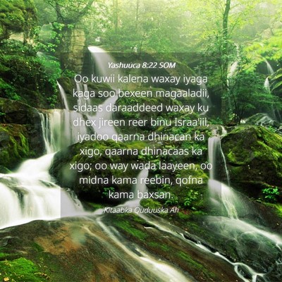 Picture 04 - Yashuuca 8:22 SOM - Oo kuwii kalena waxay iyaga kaga soo bexeen - Bible Verse Picture
