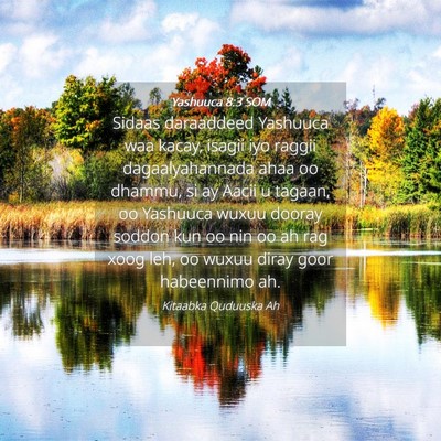 Picture 04 - Yashuuca 8:3 SOM - Sidaas daraaddeed Yashuuca waa kacay, isagii iyo - Bible Verse Picture
