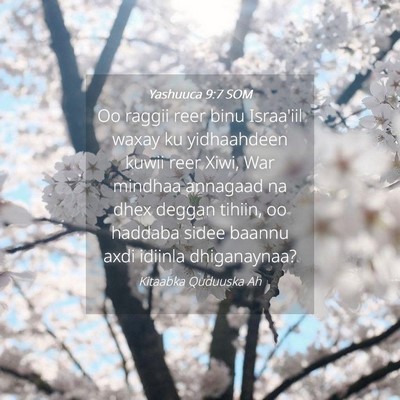 Picture 04 - Yashuuca 9:7 SOM - Oo raggii reer binu Israa'iil waxay ku - Bible Verse Picture