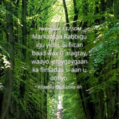 Picture 04 - Yeremyaah 1:12 SOM - Markaasaa Rabbigu igu yidhi, Si fiican baad wax u - Bible Verse Picture