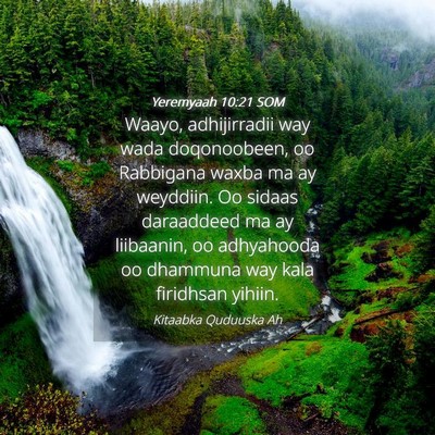 Picture 04 - Yeremyaah 10:21 SOM - Waayo, adhijirradii way wada doqonoobeen, oo - Bible Verse Picture