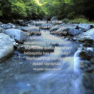 Picture 04 - Yeremyaah 11:15 SOM - Taan jeclaa bal maxay gurigayga ku leedahay - Bible Verse Picture