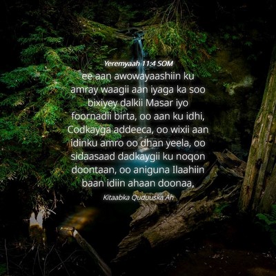 Picture 04 - Yeremyaah 11:4 SOM - ee aan awowayaashiin ku amray waagii aan iyaga ka - Bible Verse Picture