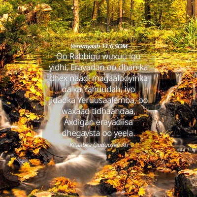 Picture 04 - Yeremyaah 11:6 SOM - Oo Rabbigu wuxuu igu yidhi, Erayadan oo dhan ka - Bible Verse Picture