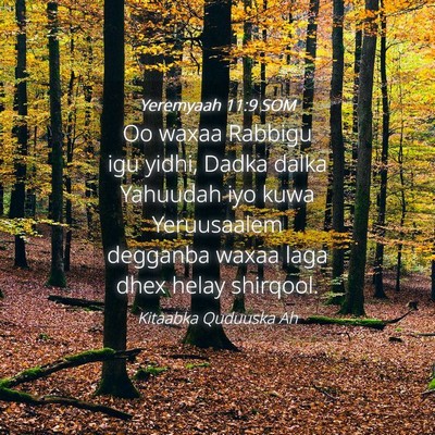 Picture 04 - Yeremyaah 11:9 SOM - Oo waxaa Rabbigu igu yidhi, Dadka dalka Yahuudah - Bible Verse Picture