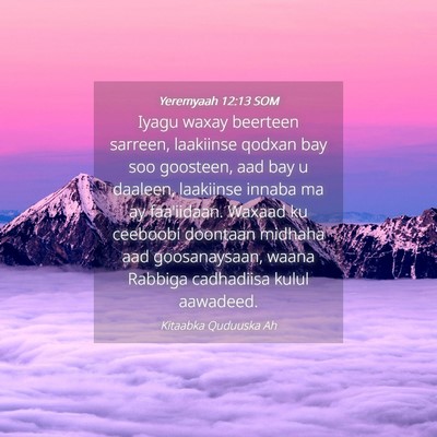 Picture 04 - Yeremyaah 12:13 SOM - Iyagu waxay beerteen sarreen, laakiinse qodxan - Bible Verse Picture