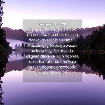Picture 04 - Yeremyaah 12:14 SOM - Derisyadayda sharka ah oo dhan oo taabta - Bible Verse Picture