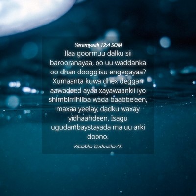Picture 04 - Yeremyaah 12:4 SOM - Ilaa goormuu dalku sii barooranayaa, oo uu - Bible Verse Picture
