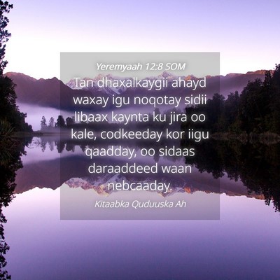 Picture 04 - Yeremyaah 12:8 SOM - Tan dhaxalkaygii ahayd waxay igu noqotay sidii - Bible Verse Picture